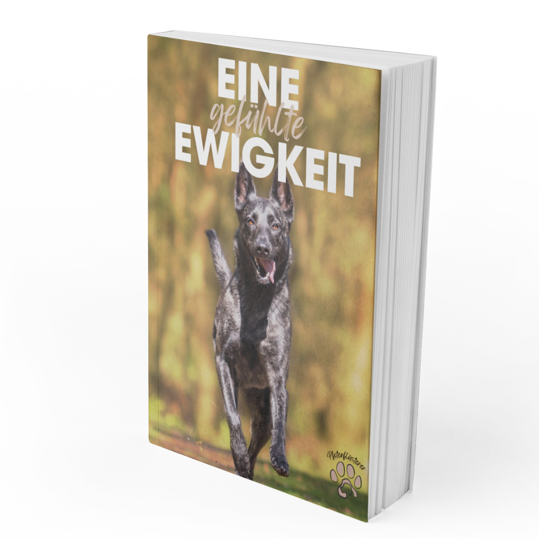 "Eine gefühlte Ewigkeit"